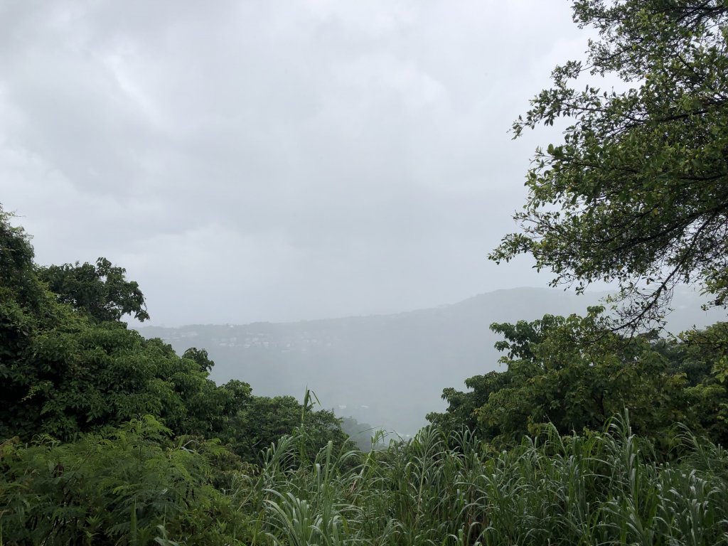翠山步道封面圖