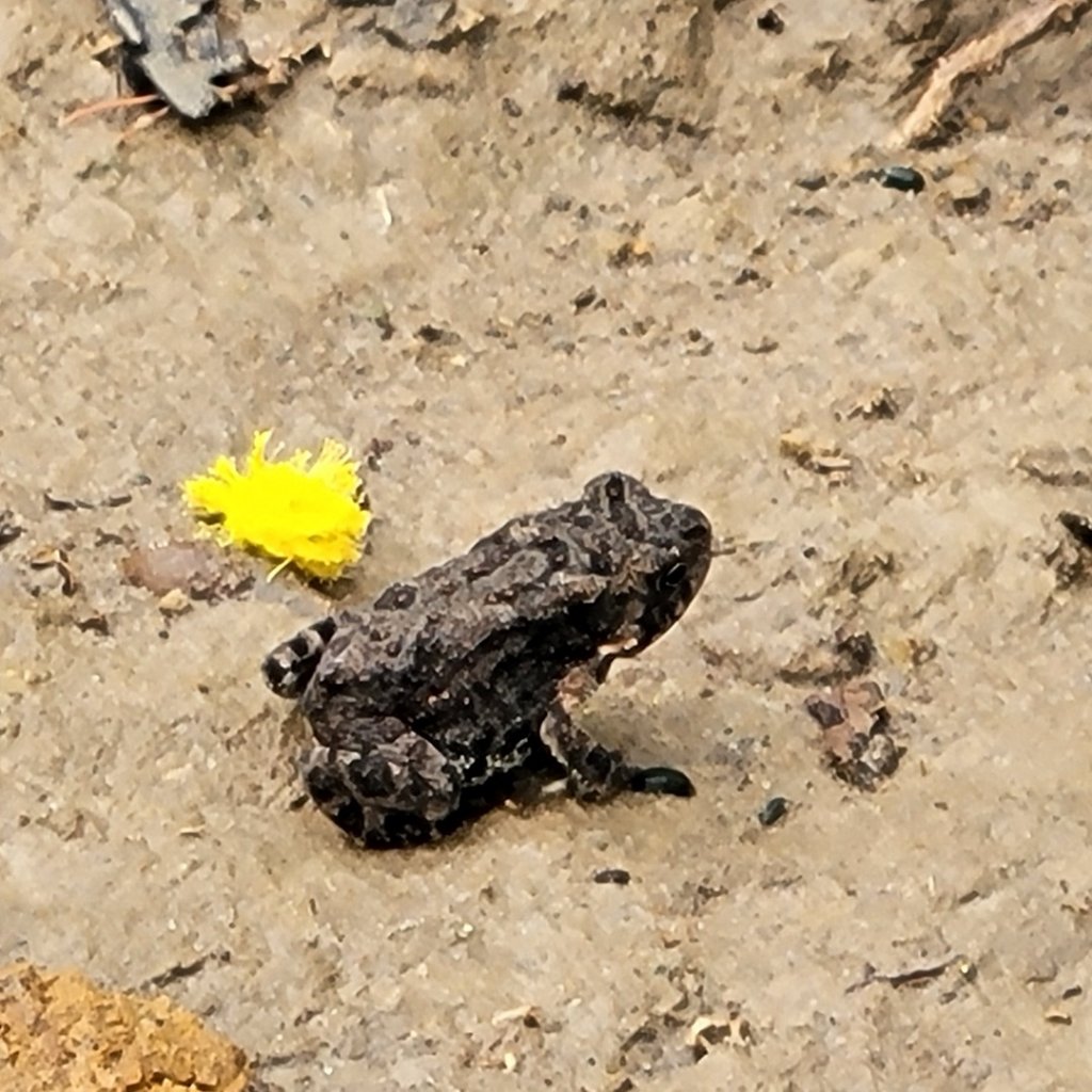 鄭漢步道_1719839