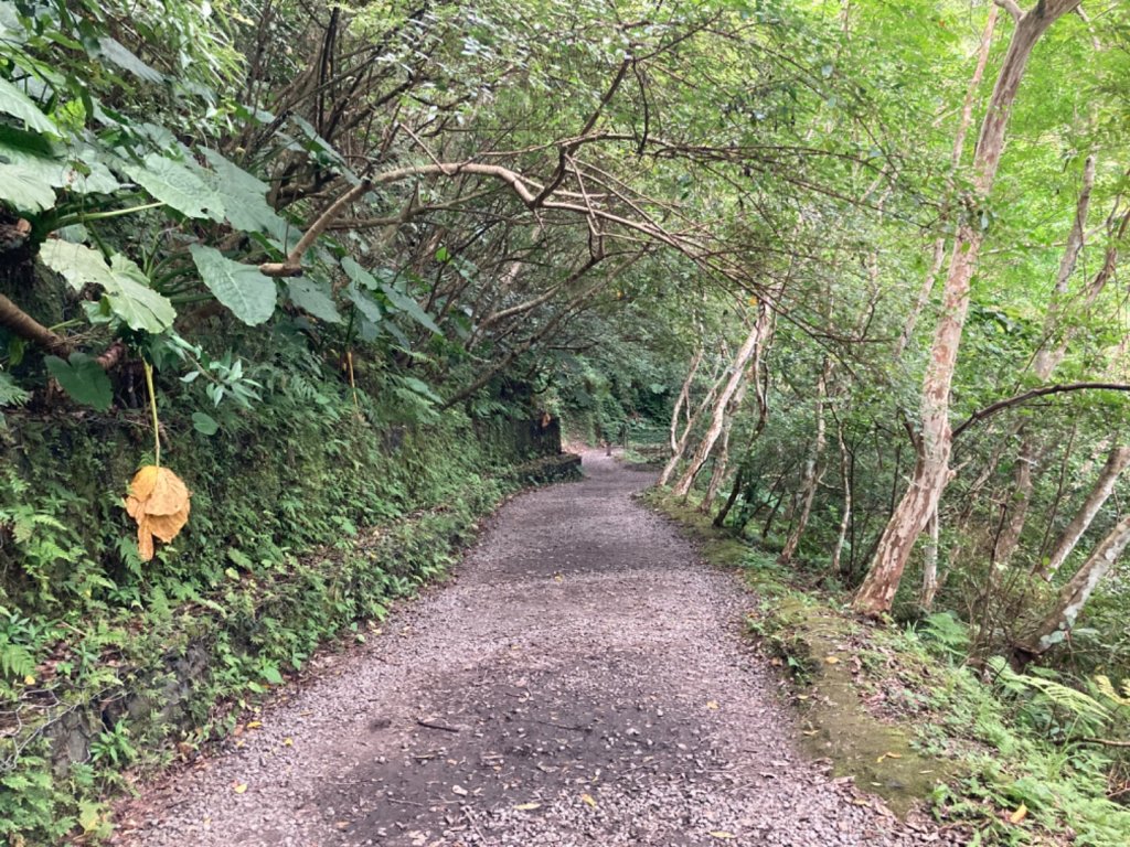 林美石磐步道_2297938