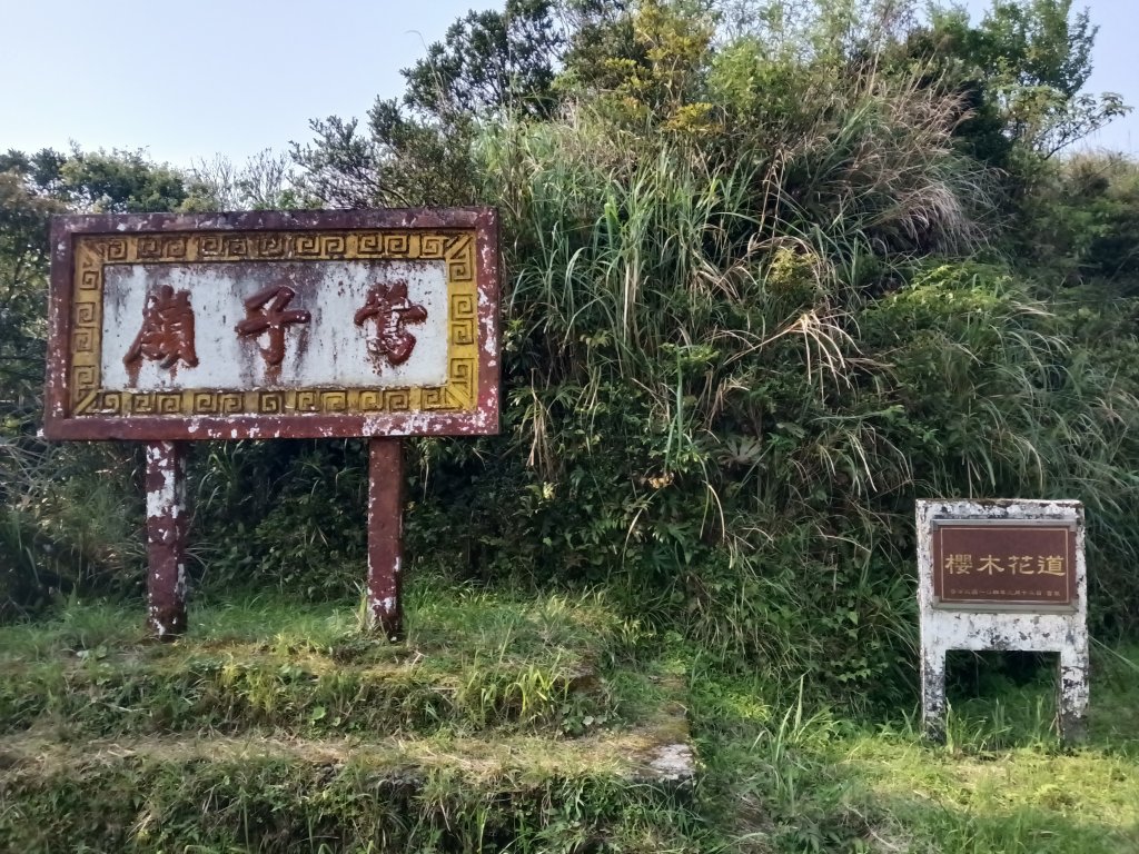 雙溪區鶯子頂山-950峰-鶯子嶺去回封面圖