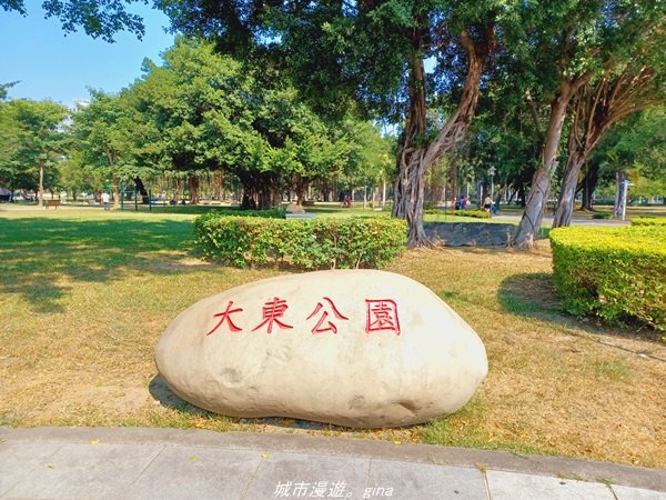 【高雄。鳳山新興】捷運小旅行~迷你版忘憂森林大東濕地步道x光之穹頂_1541867