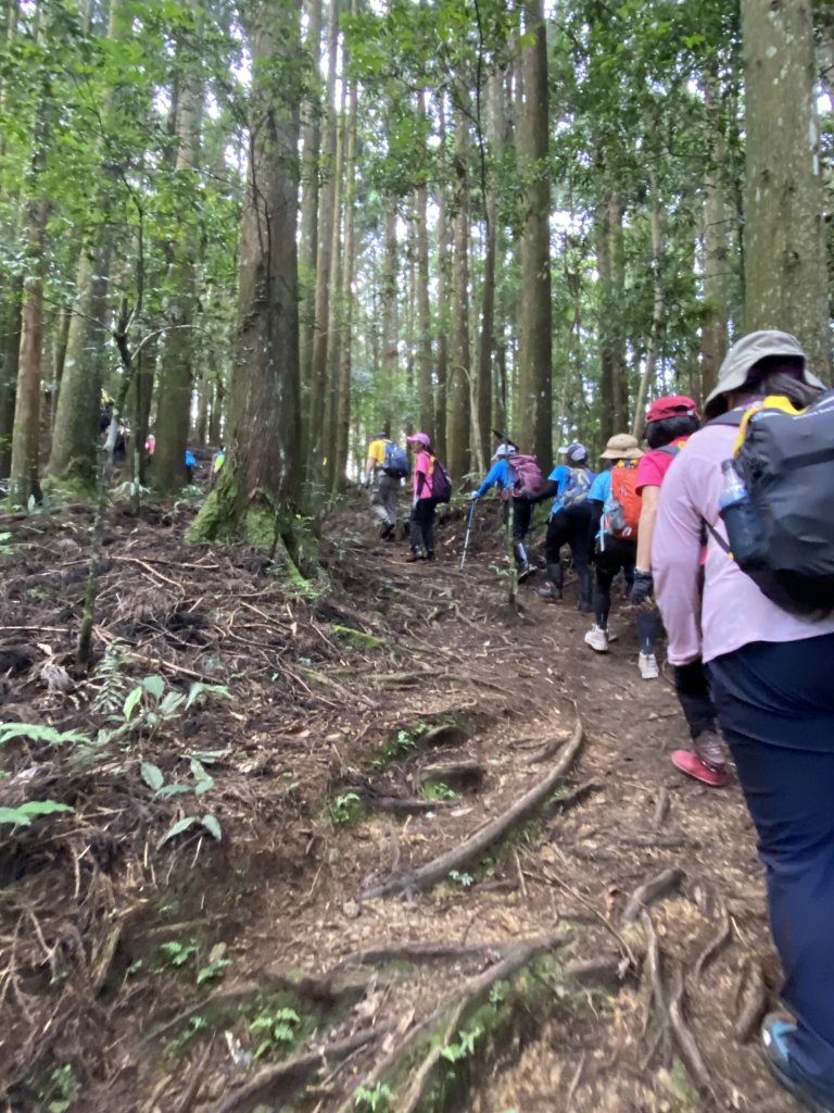 20250713-Ep.09油羅山步道-2025森遊竹縣皮皮獅探險隊封面圖