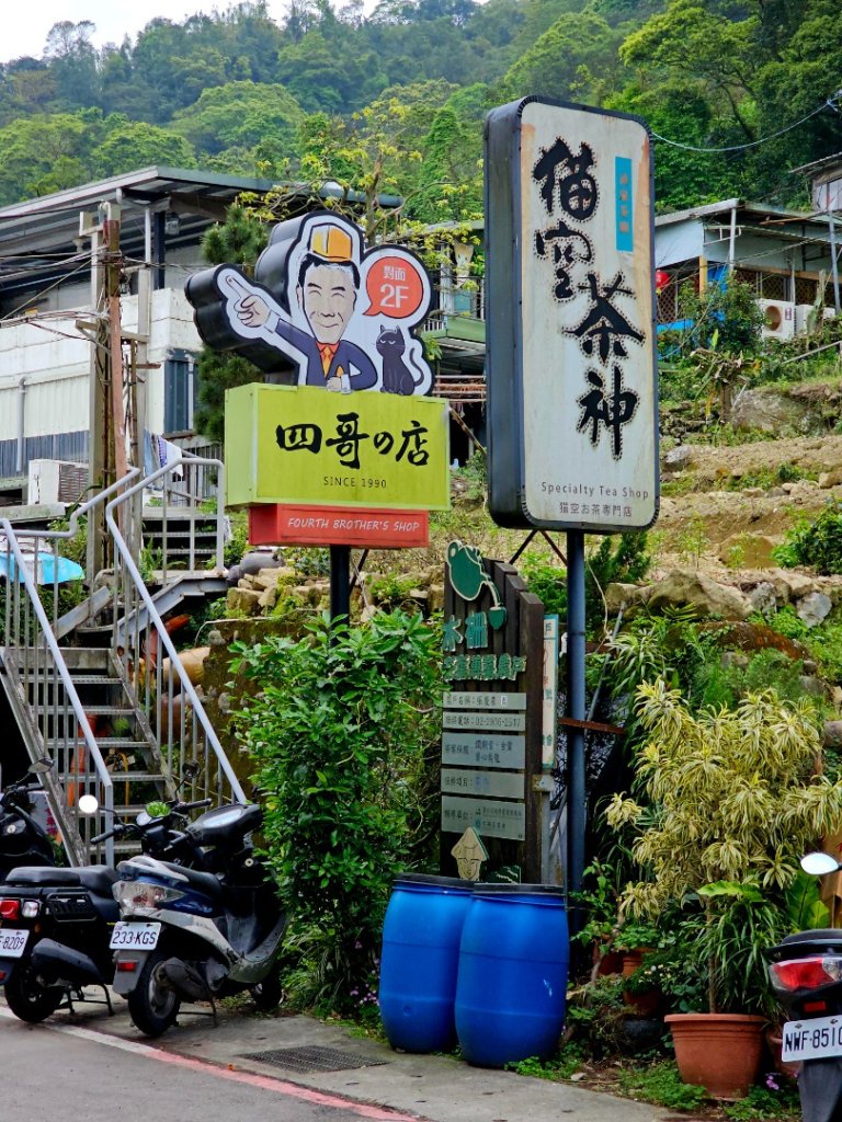 2025年臺北大縱走第七段：世界山莊至飛龍步道政大後山_2757371