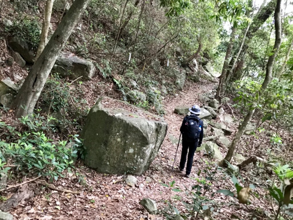 德芙蘭步道環走東卯山_565711