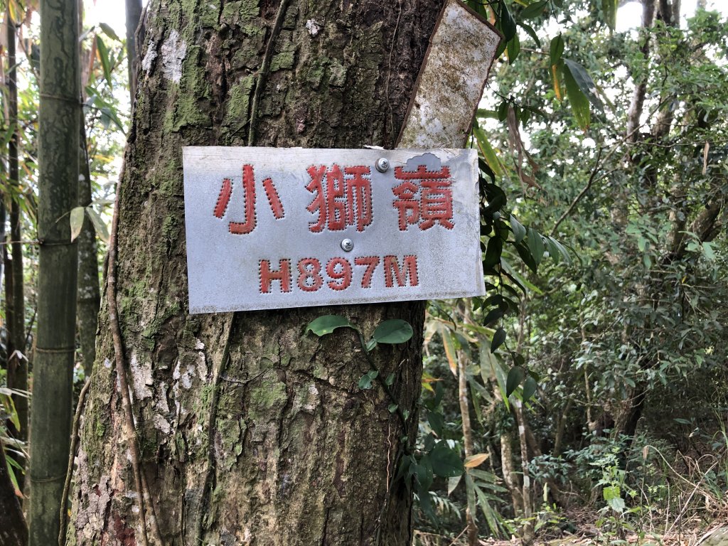 關仔嶺大凍山步道走曾文水庫O型_1611849