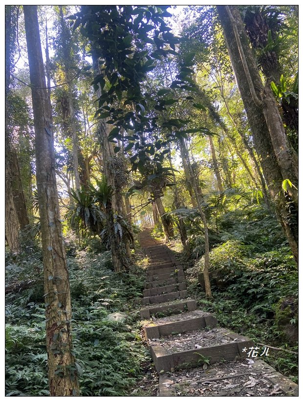 鳳凰谷步道(鹿谷鄉)_2690441