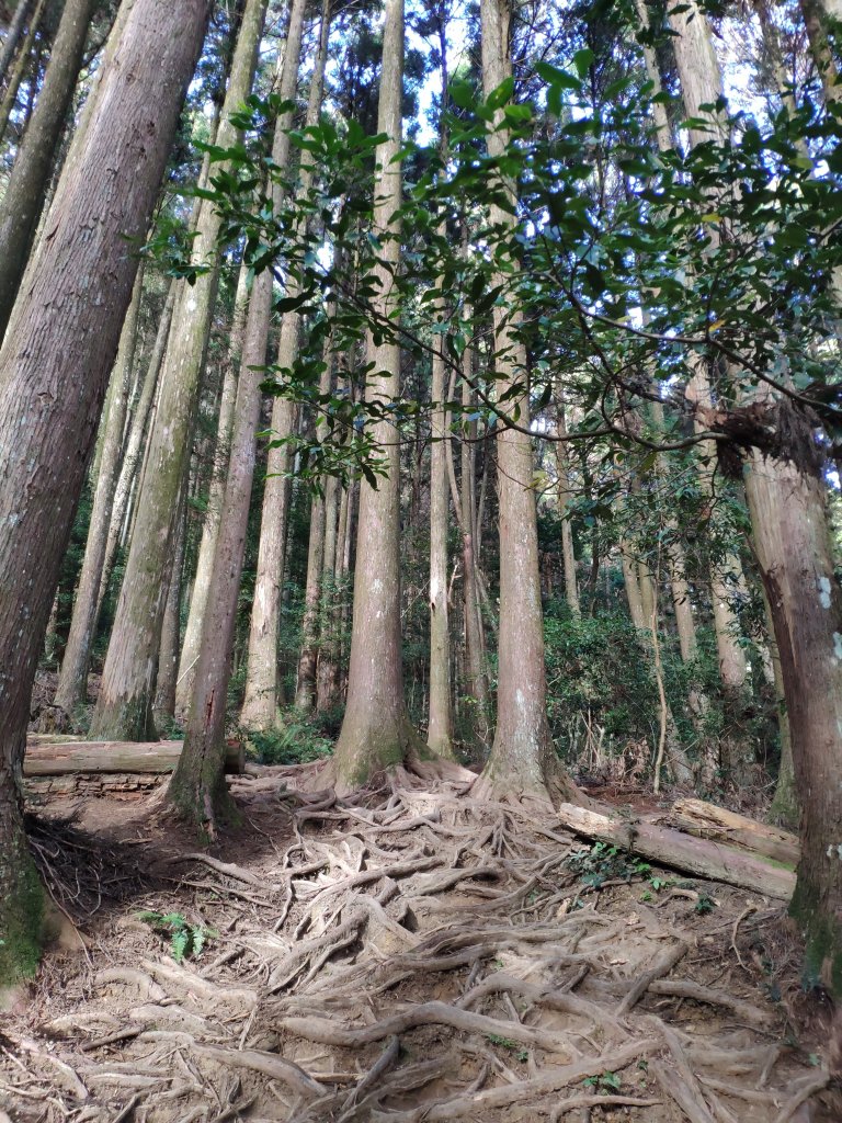 台版富士山_苗栗加里山_1172720