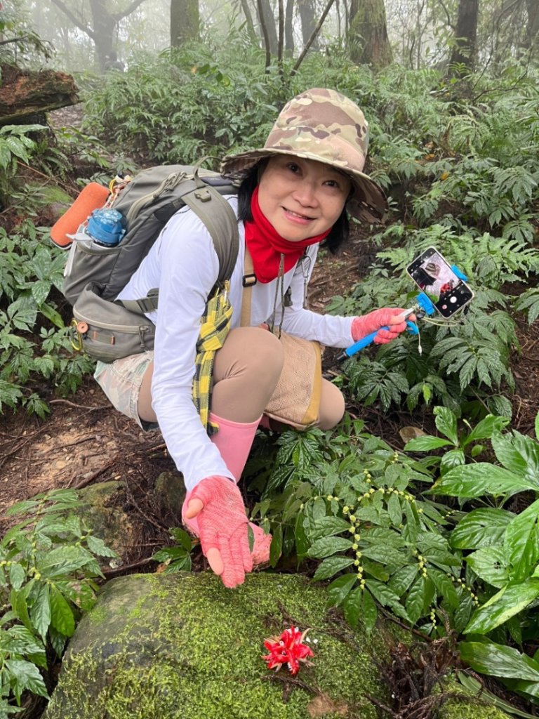 烏來大桶山.大桶山東峰.四崁水山_2450753