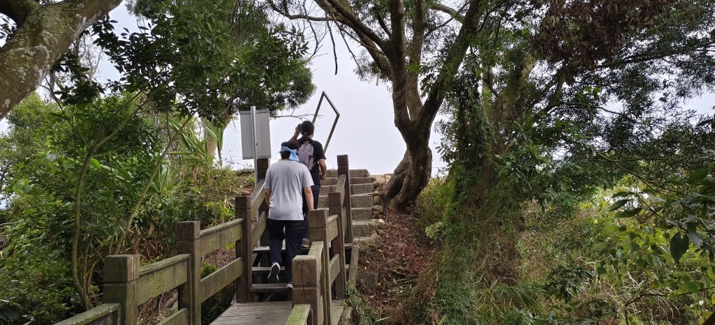2026/02/27-荷苞山登山步道封面圖
