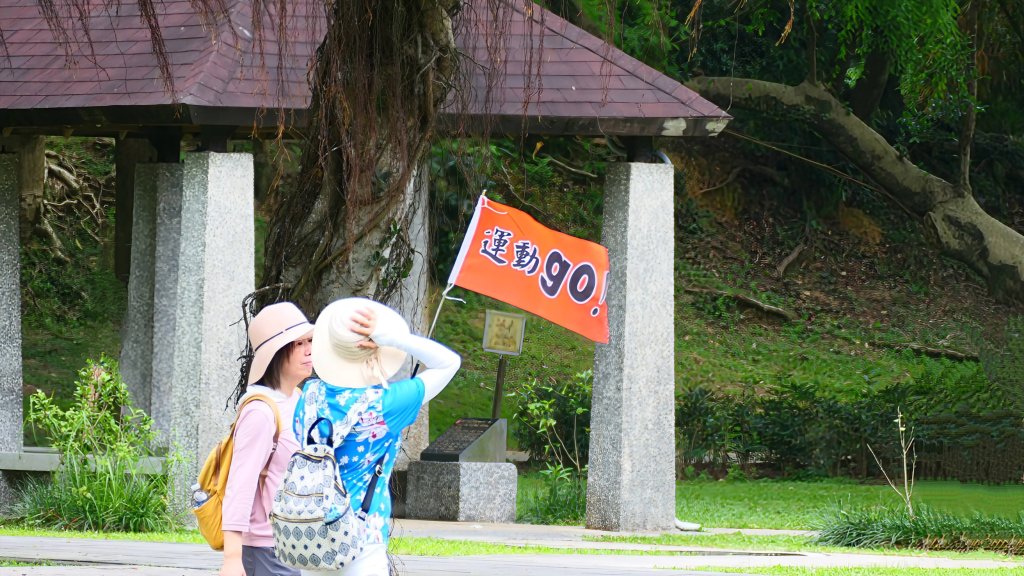 白石湖沒有百合花。晶片關稅_2781555