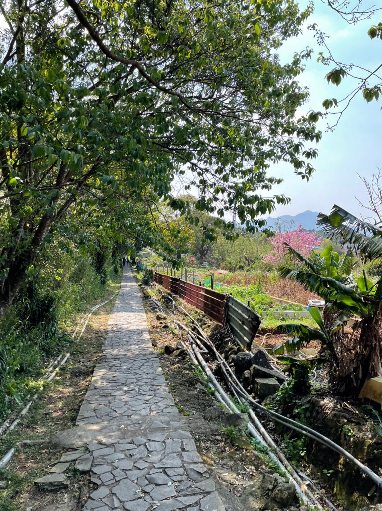 台北大縱走1_2071586