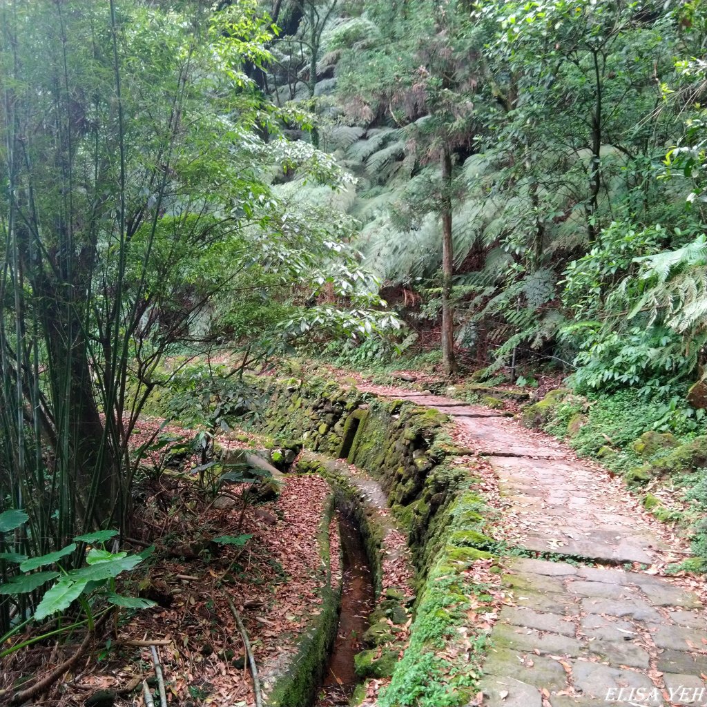 魚路古道南北大縱走_1378456