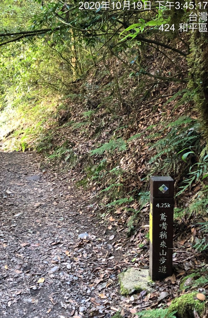 鳶嘴稍來國家步道季秋縱走_1144689