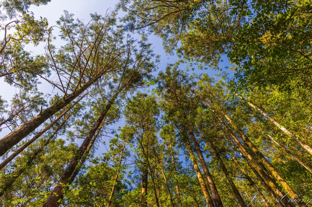 [宜蘭]松蘿湖_2663019