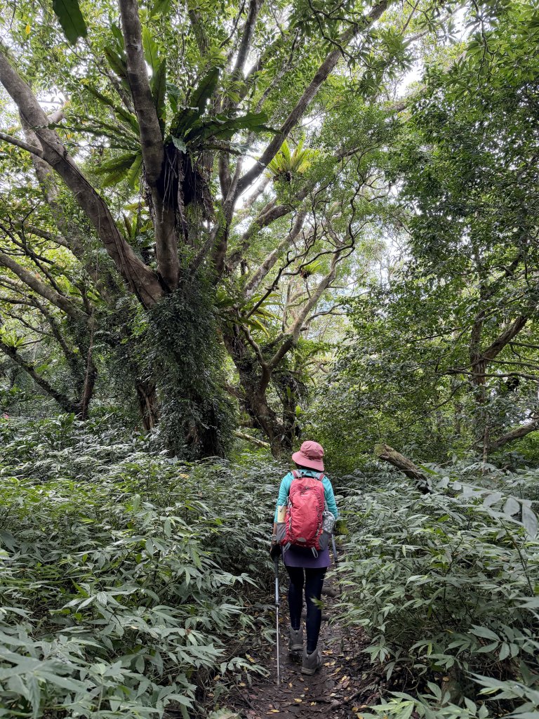 女仍山+帽子山O繞 20260227_3009560