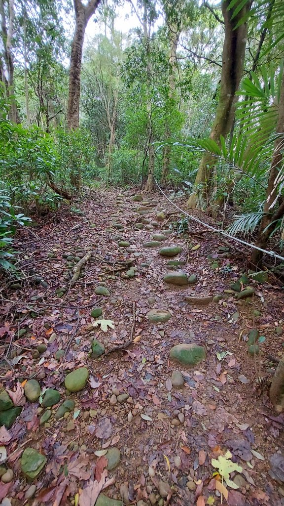 111/02/05飛沙大縱走12連峰_1607857