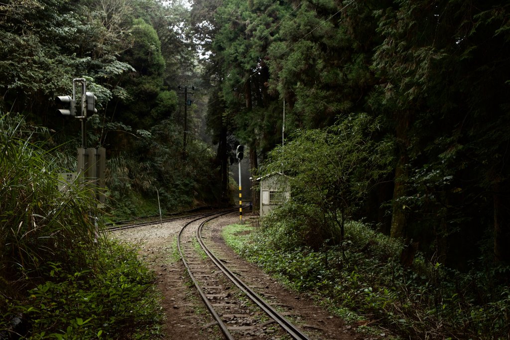 眠月線：久久不能成眠_553804