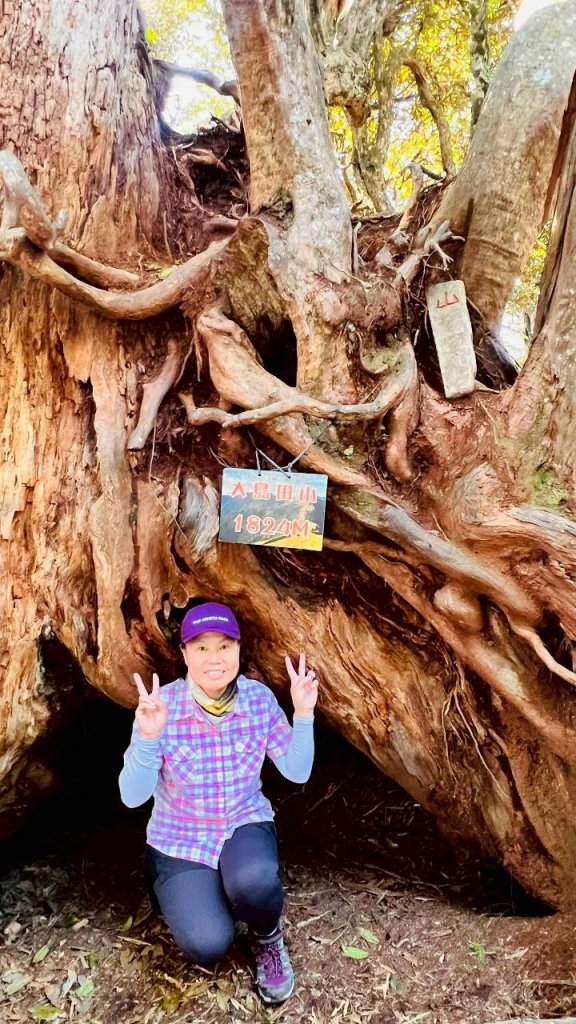 🌈11/9(日)高島縱走~高台山連走島田山山徑✨FB：熊熊趴爬走🌈_2932479