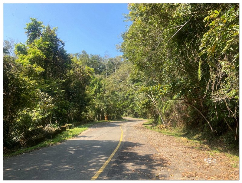 阿里眉山 (日月潭四姝的么妹)_2753044