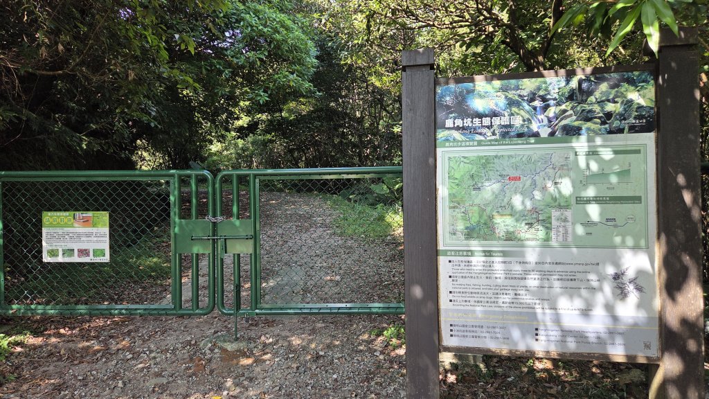 享受台北近郊陽明山小秘境楓林瀑布的清新芬多精_2996545