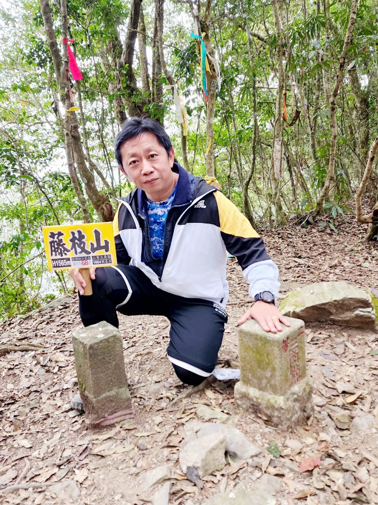 小百岳集起來-藤枝山封面圖