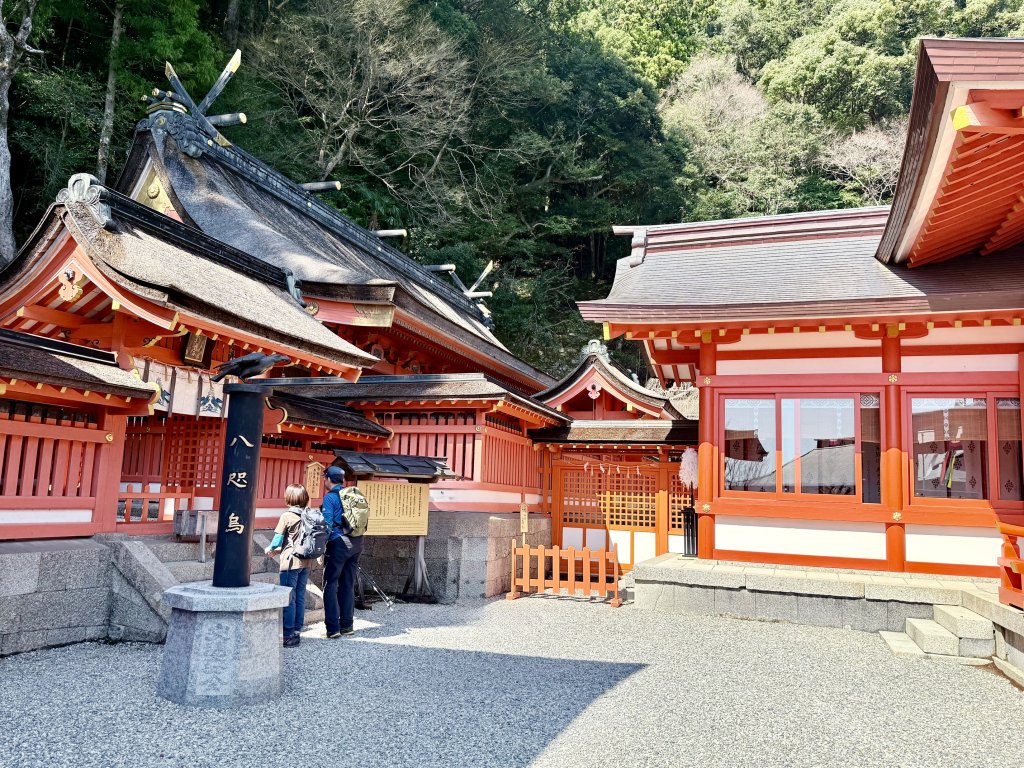 熊野古道中邊路D6 大雲取越 2025.3.21_2747093