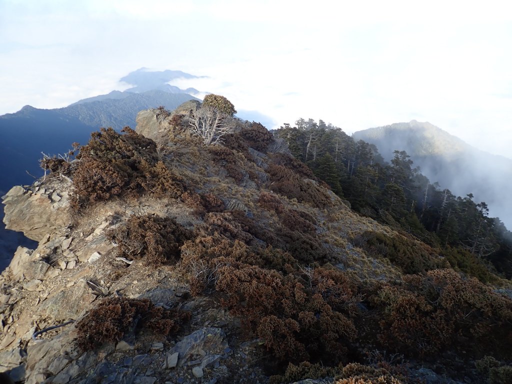 20190208南湖大山東北峰_524674