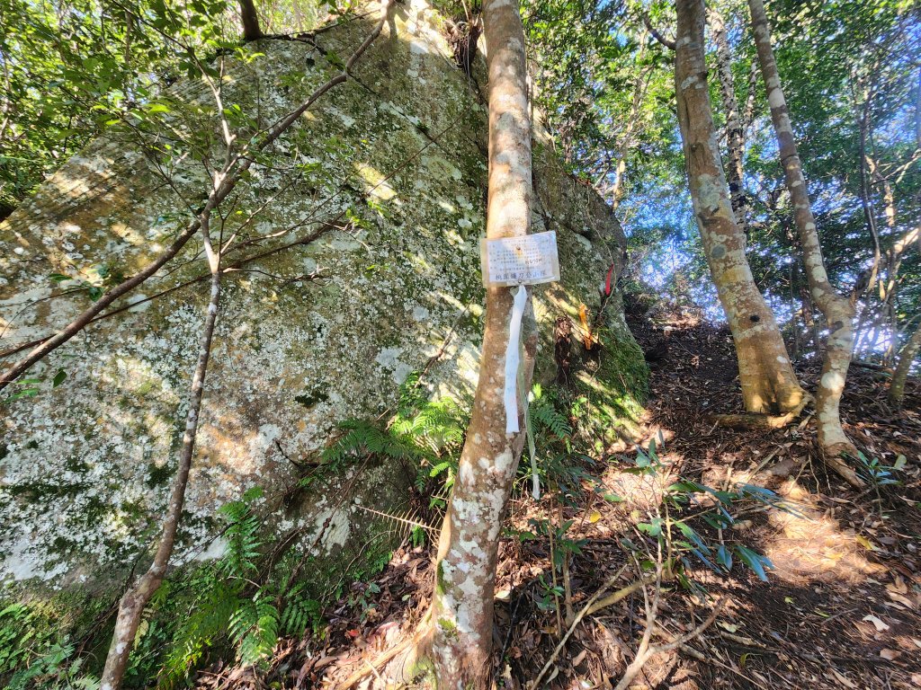 20251214石牛山柑坪山新柑坪山牛背岩_2972737