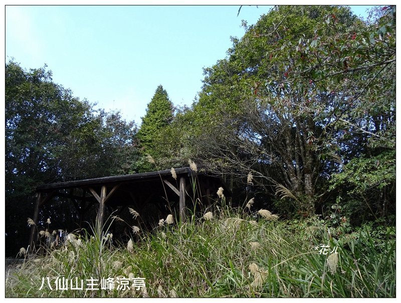 東松鶴山～八仙山 (台中 和平)_2940446