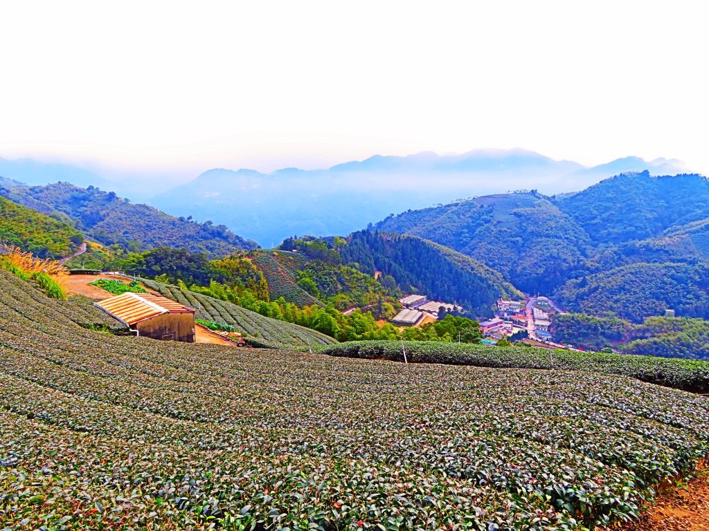 雲嘉五連峰 雲深不知處_510943