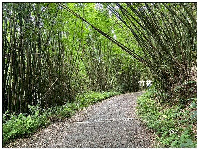 聖母峰、三角崙山 (抹茶山) 連走_2802182