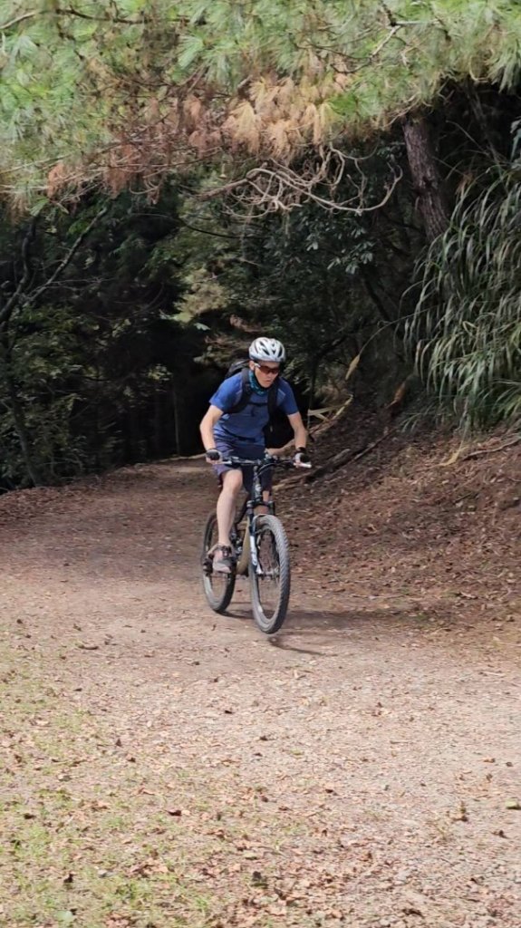 20251014雪見遊憩區 🚴‍♂️咖搭車走司馬限林道上東洗水山兩刷北坑山至大板根_2916440