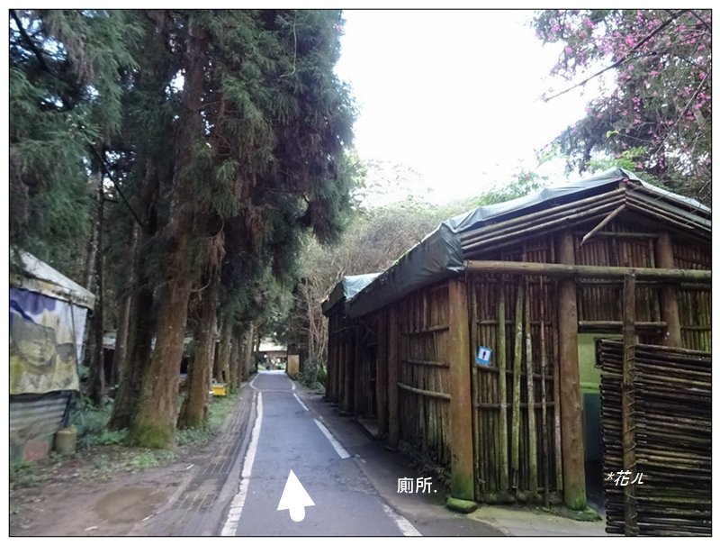 光天高山、向天湖山、三角湖山連走_1588221