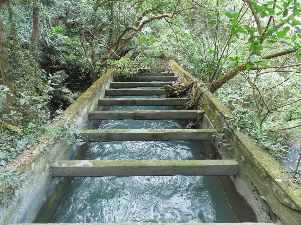 泰安登山步道‧隘勇古道‧巡圳道O形輕鬆走封面圖