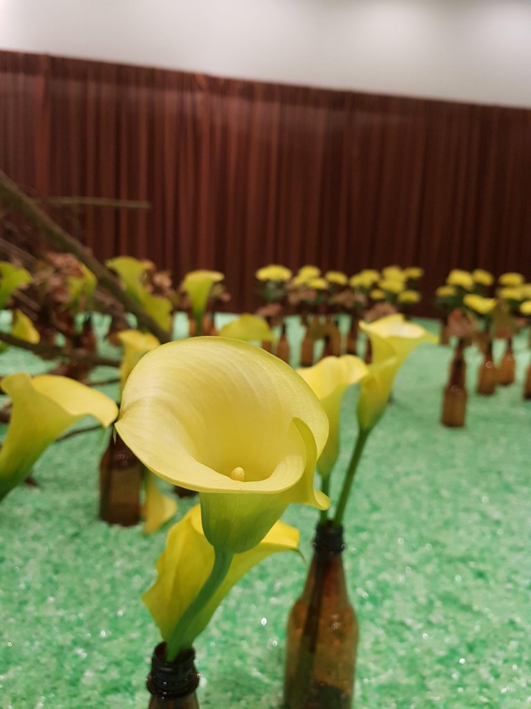 台中花博~后里馬場、花舞館_551045