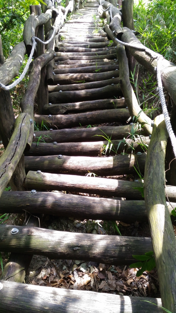 大坑-三號步道_45270