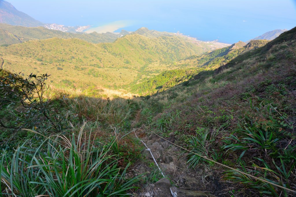 步步驚心_1335145