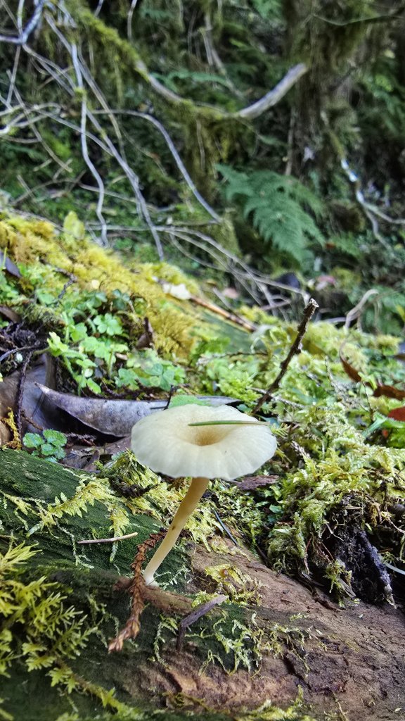 20251211-1216 新康橫斷+嘉明湖_2965493