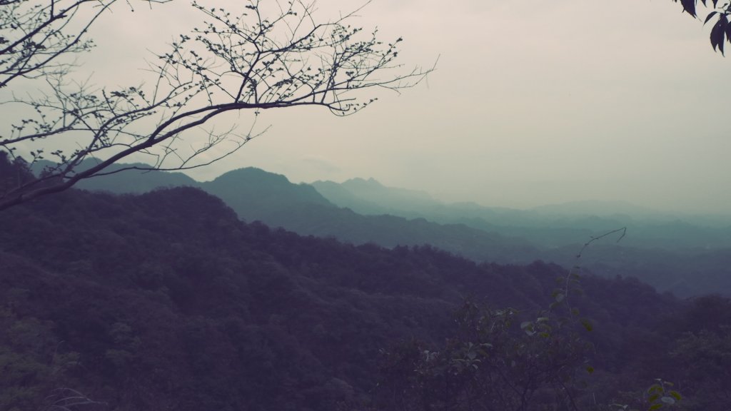 台中大坑頭嵙山4-5-3-3_1號O型_904099