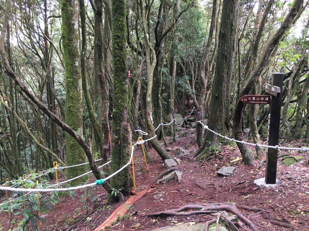 20160903_鳶嘴稍來_873529