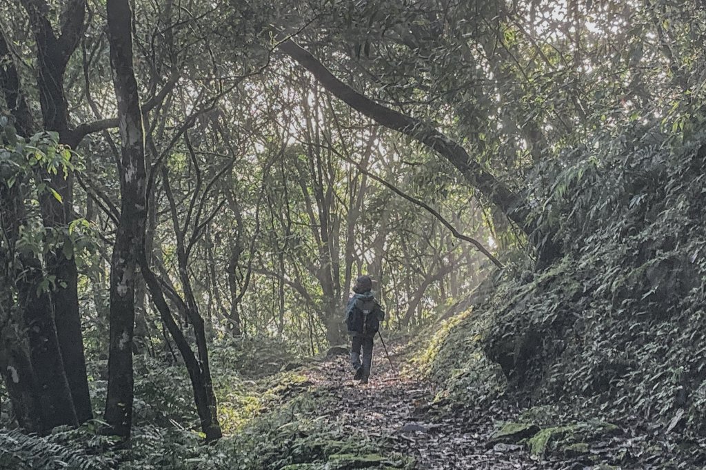 灣潭古道 & 北勢溪古道連走(淡蘭古道中路)_2030119
