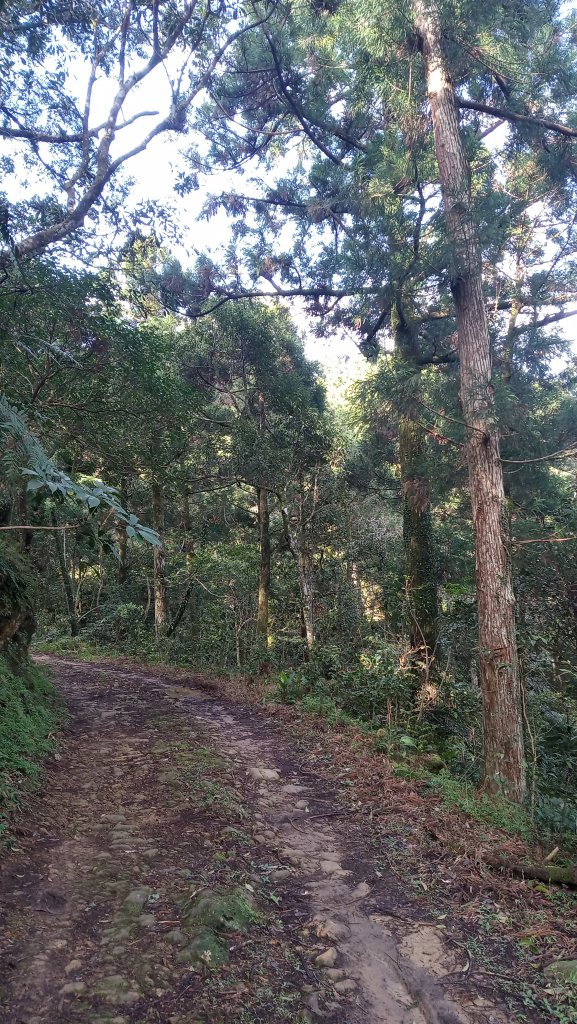 疾速礁溪試跑_880674