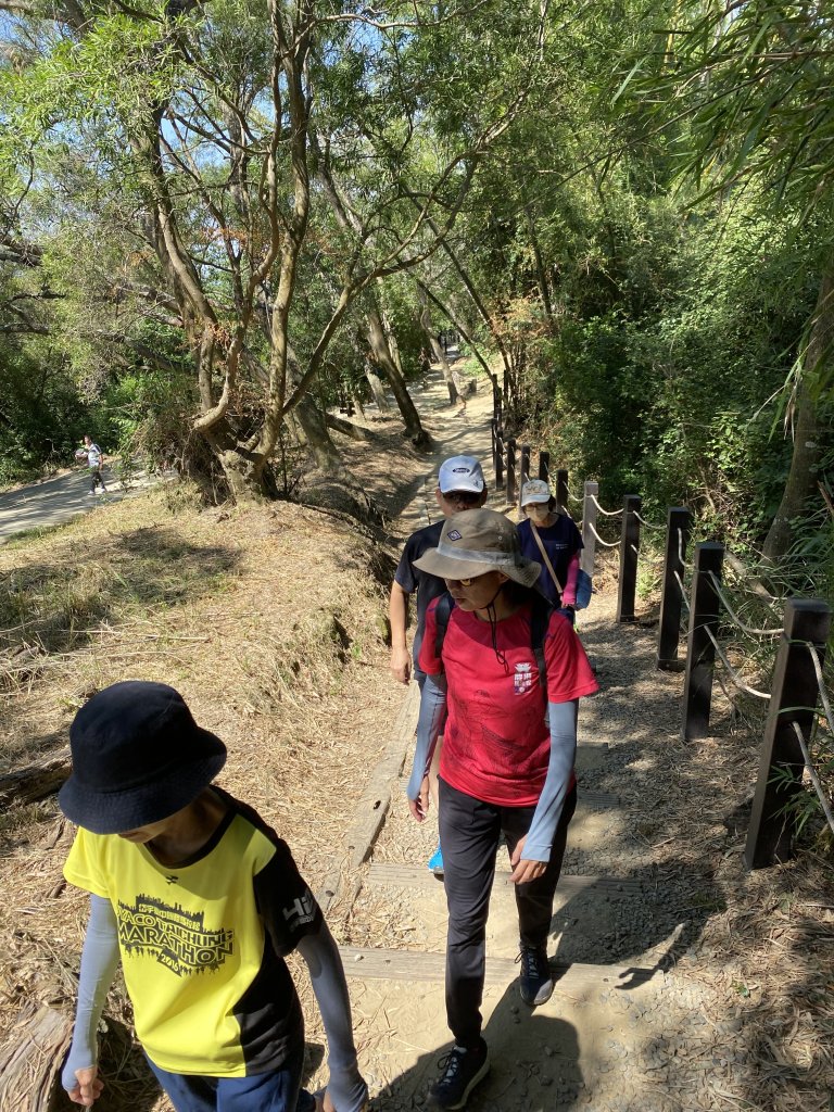 《夏日大坑同行記｜10號步道登稜線，與家人感受山風與人情味》_2926334