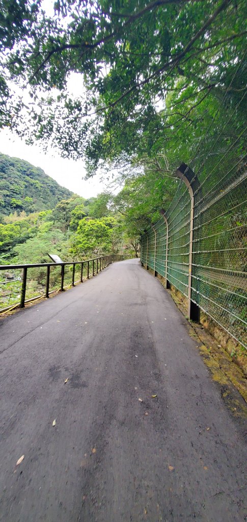 2024-02-24東滿步道_2437313