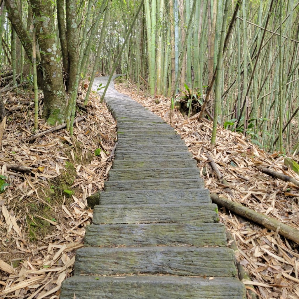 雅吾瑪斯步道_1704114