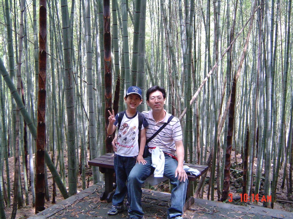 2008 May 奮起湖步道_585732