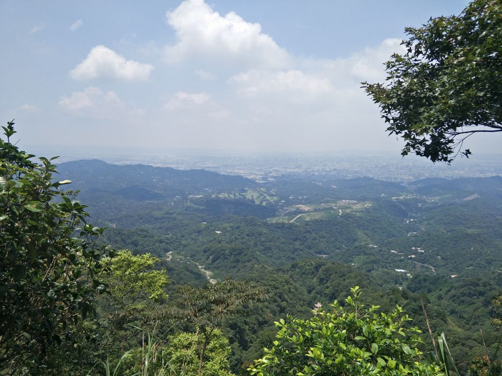 大坑4號步道&頭嵙山_374948