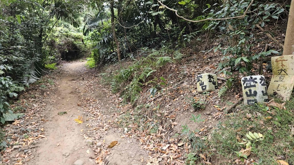 20251218犁頭山-吧哩國山主東峰-石頭坑山西南峰-石頭坑山_2966998