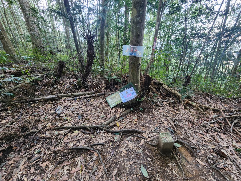 20250216水社大山潭南線_2746114