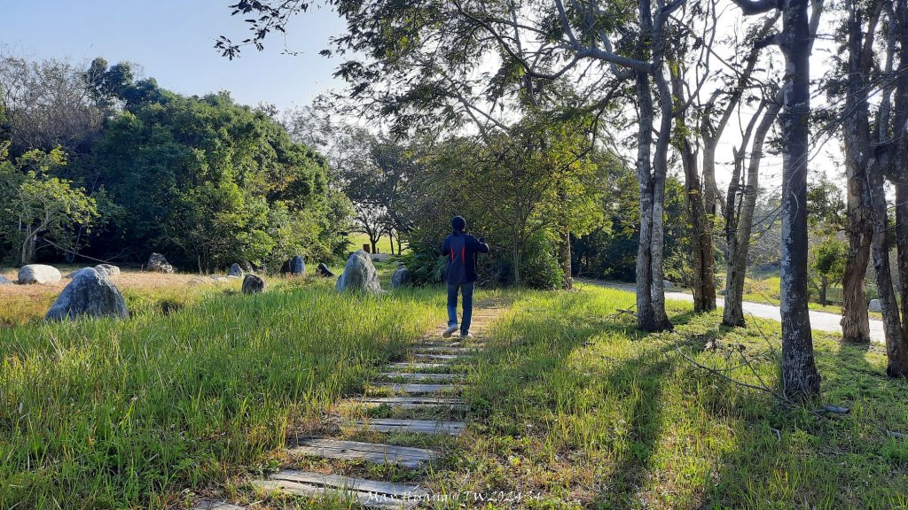 《台中》森林冬陽｜大肚山台中都會公園O繞20241229_2678707
